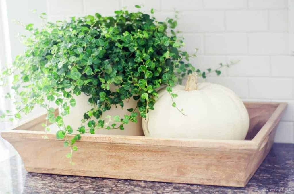 Add character to your white kitchen with greenery.