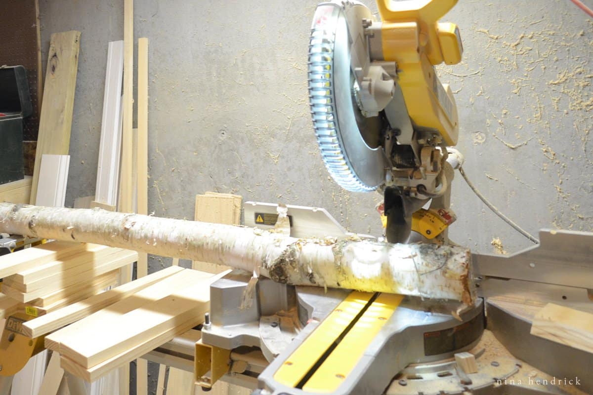 Cutting a birch log on a compound miter saw