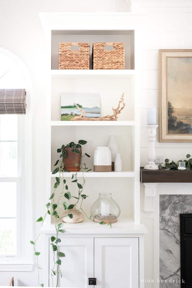 Decor for shop built in shelves