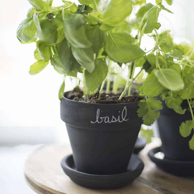 Chalkboard Herb Pots A Quick and Easy Gift Idea