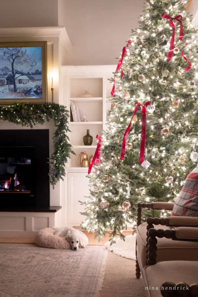 Christmas tree lights at night inside a family room with a white puppy below 