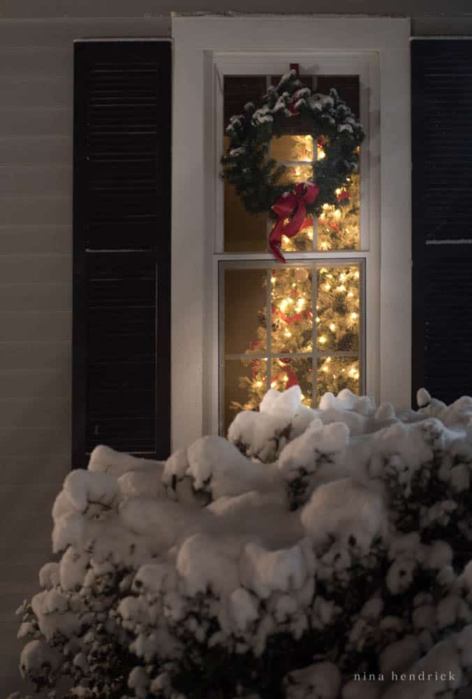Christmas lights at night on a tree through the window with shutters above a snowy shrub