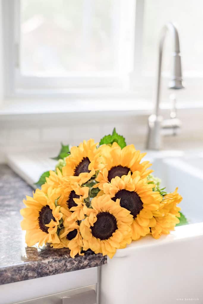 sunflowers in a farm sink