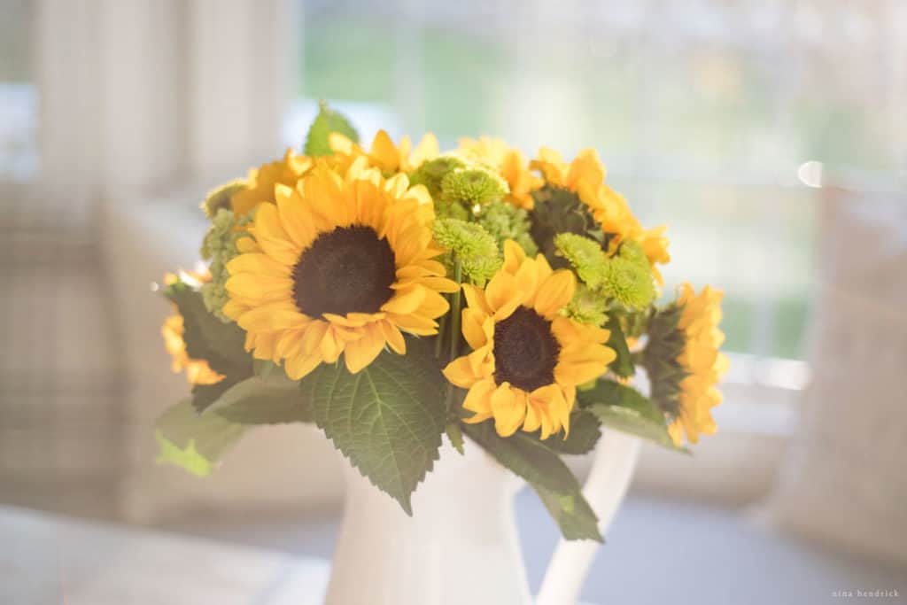 Sunflowers in a white pitcher in the sunlight