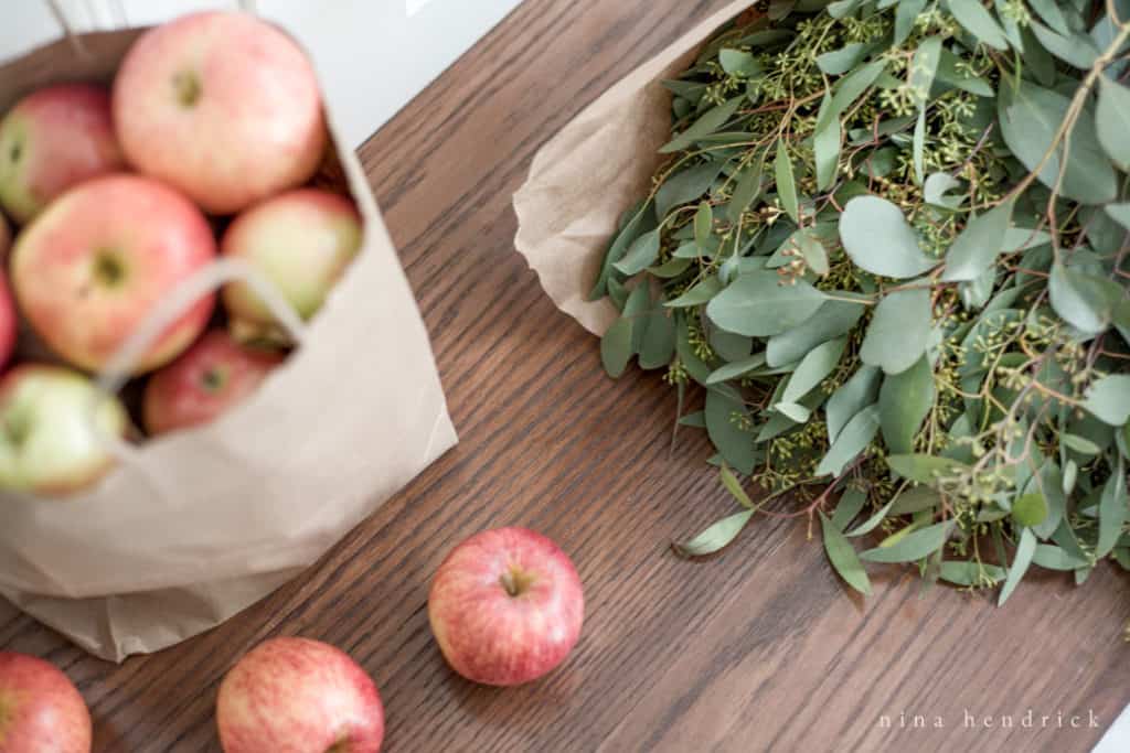 Apples and seeded eucalyptus on a bench
