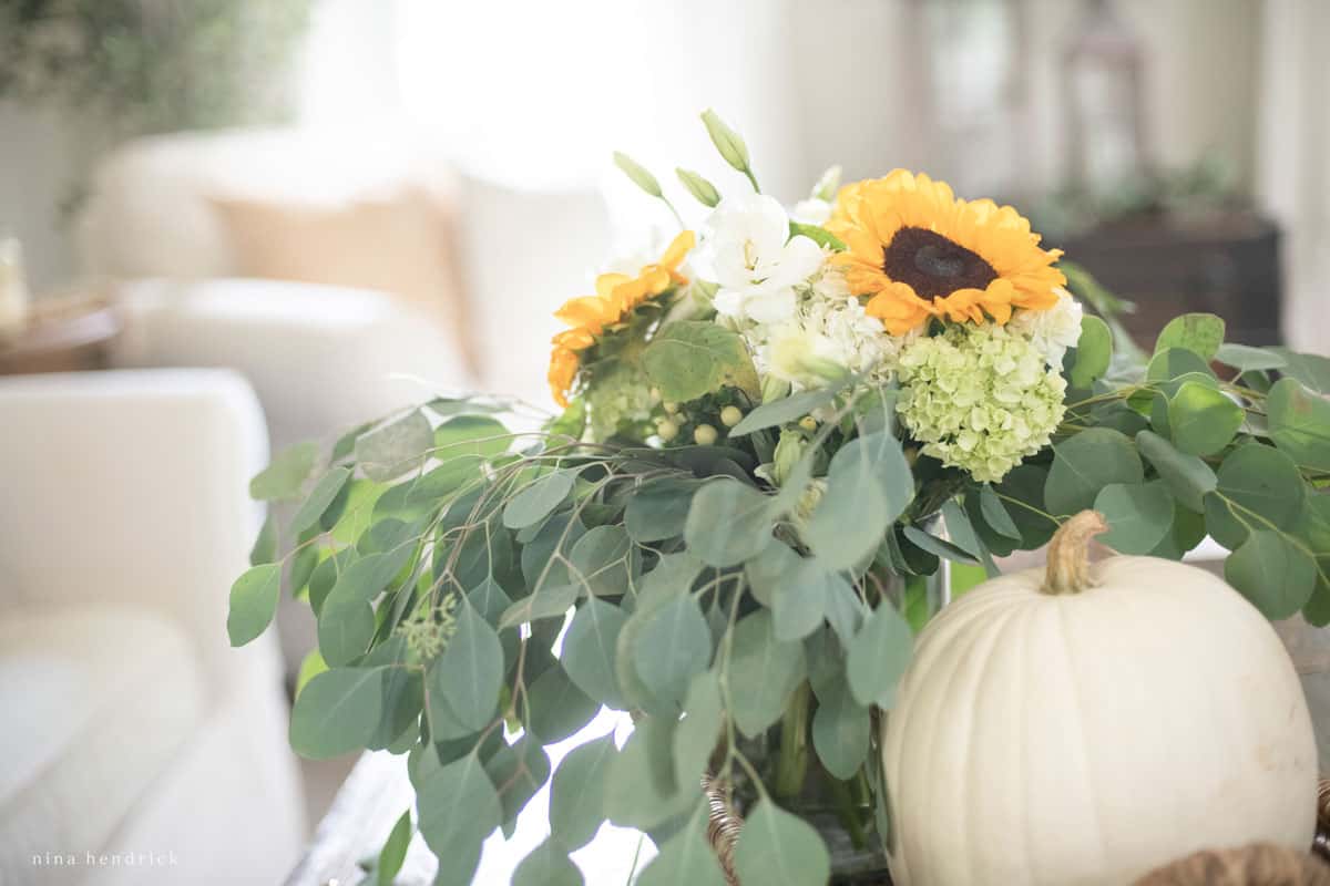 An arrangement of sunflowers and eucalyptus on a coffee table for fall.