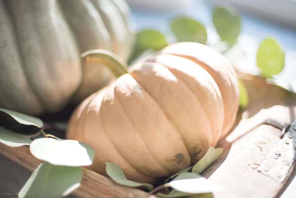 Fall home tour featuring two pumpkins in a wooden crate and adorned with eucalyptus leaves.