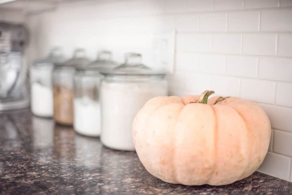 A pumpkin sits on a kitchen counter.