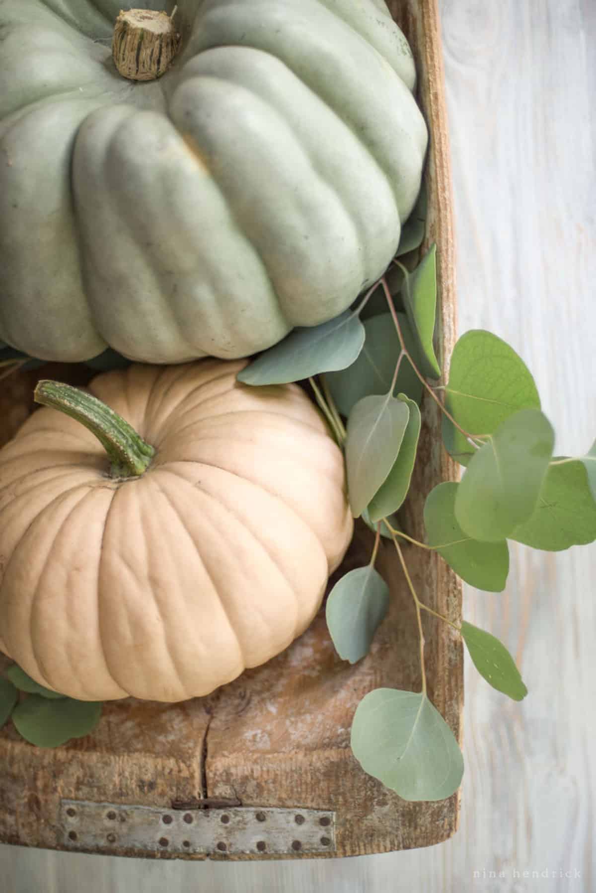Two pumpkins in a dough bowl adorned with eucalyptus leaves.