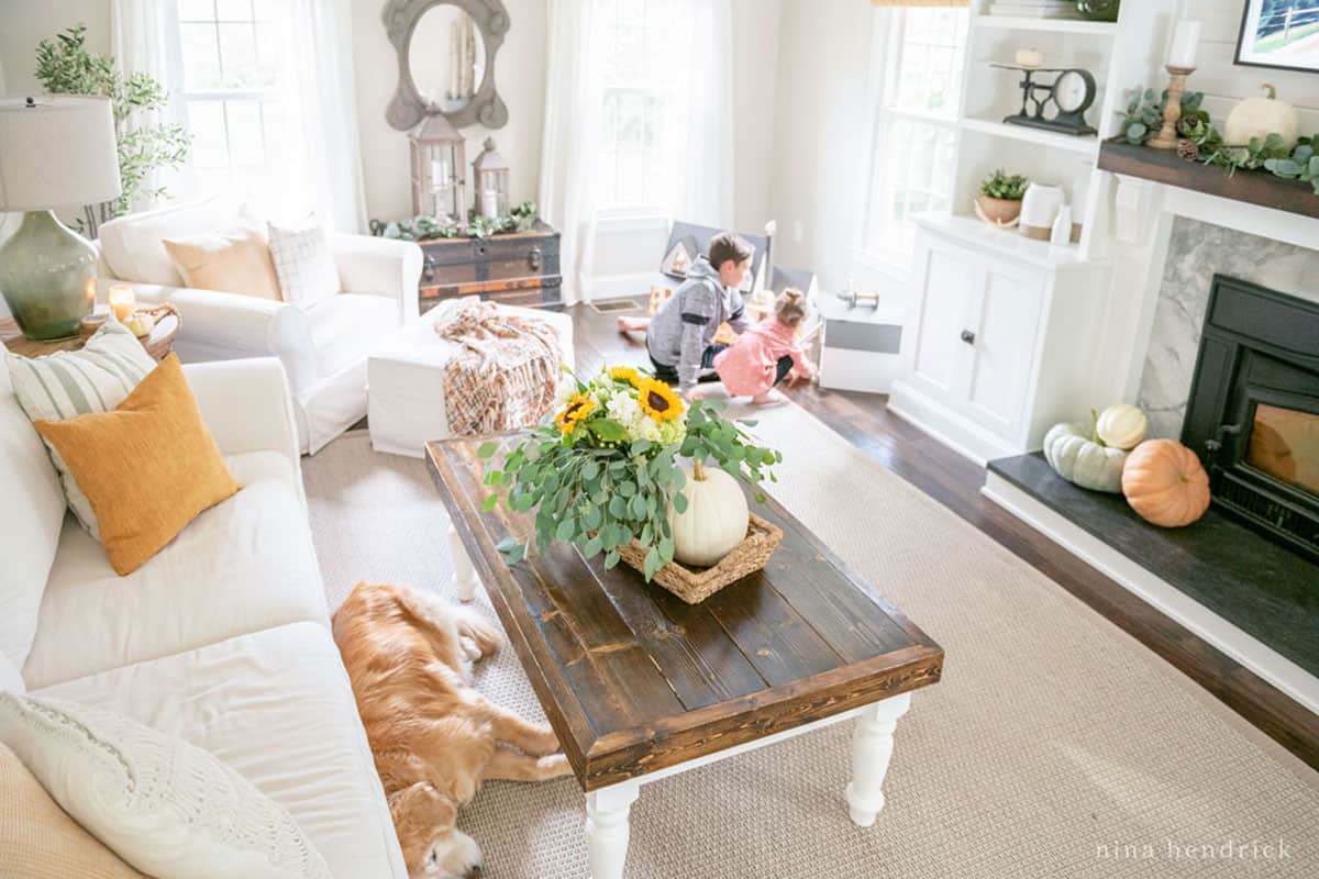 A cozy living room with a dog stretching out on the floor.