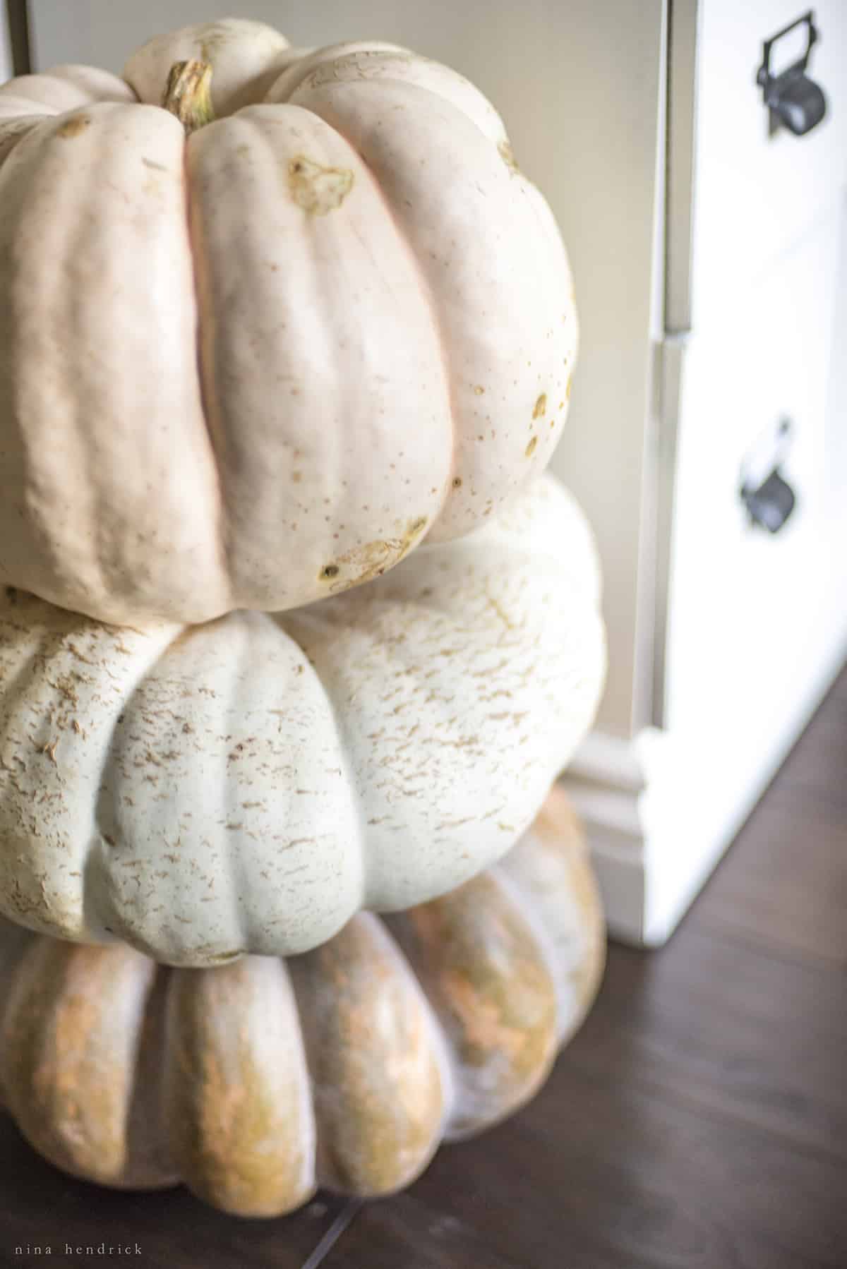 A stack of white pumpkins.