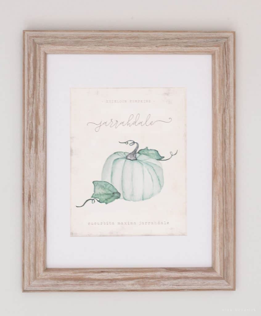 A framed print of an Heirloom pumpkin on a wall.