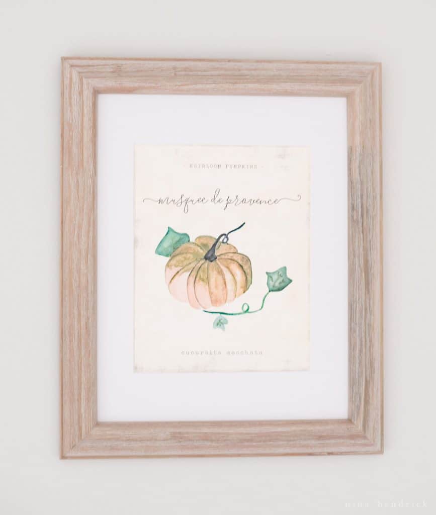 Heirloom orange pumpkin free printable.