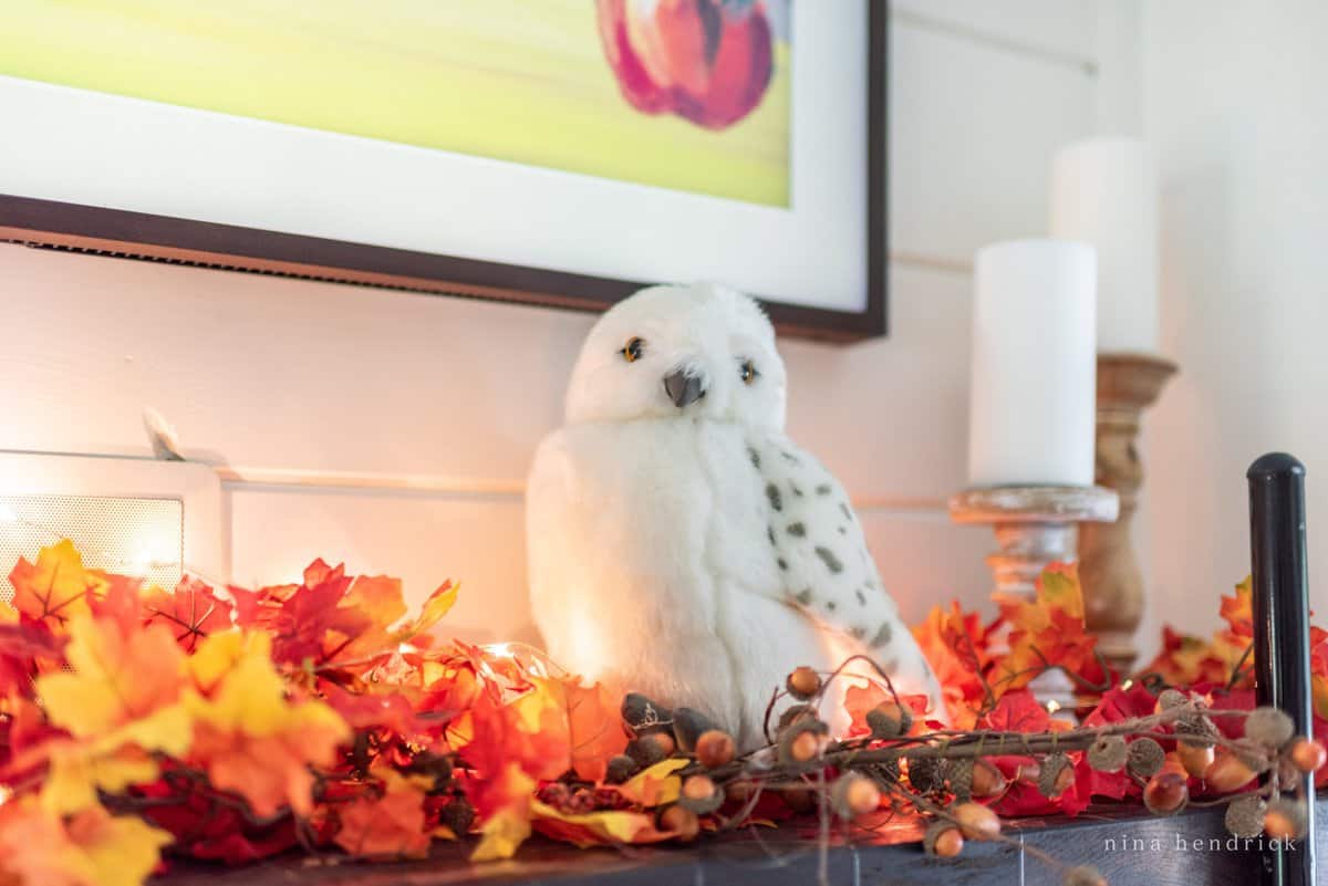 A stuffed owl sits on top of a mantle, reminding one of the iconic Hogwarts acceptance letter.