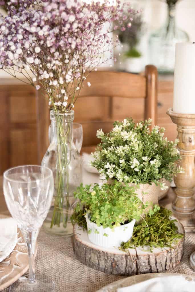 Collection of clover greenery on table