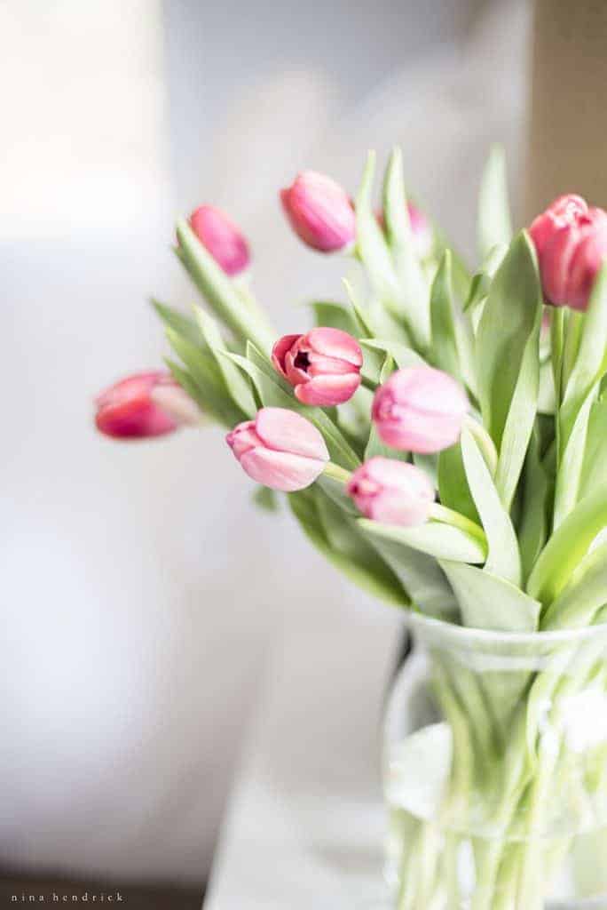 Pink tulips in a vase