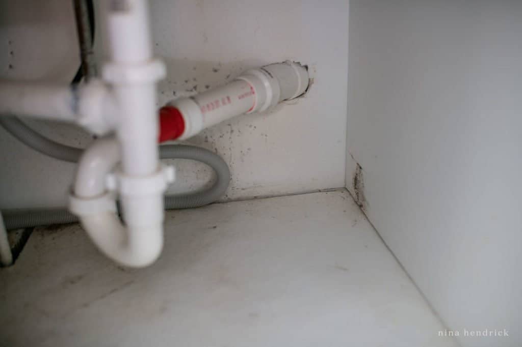 under sink rot in kitchen cabinet