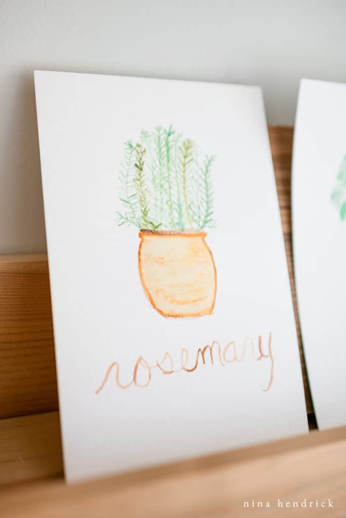 Rosemary in a Pot watercolor print