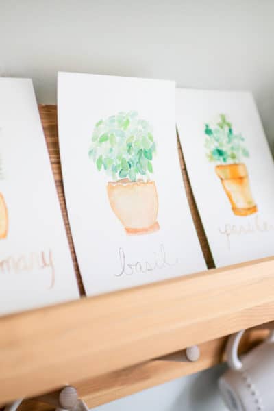 Potted Herb Watercolor Prints on a kitchen shelf