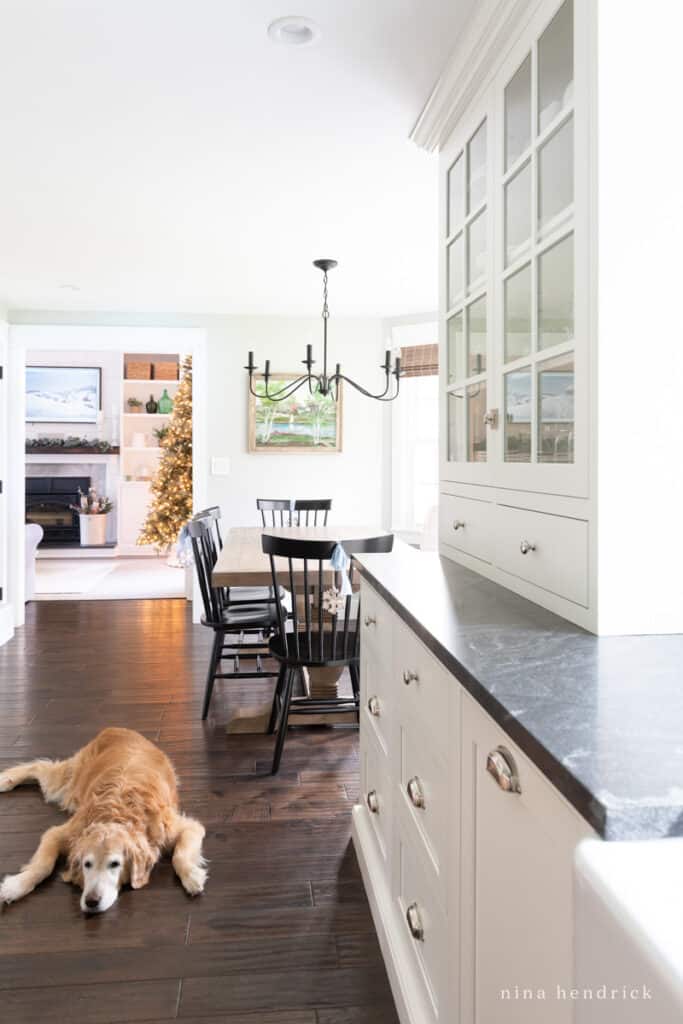 Golden retriever lying on a dark wood kitchen floor with white cabinets
