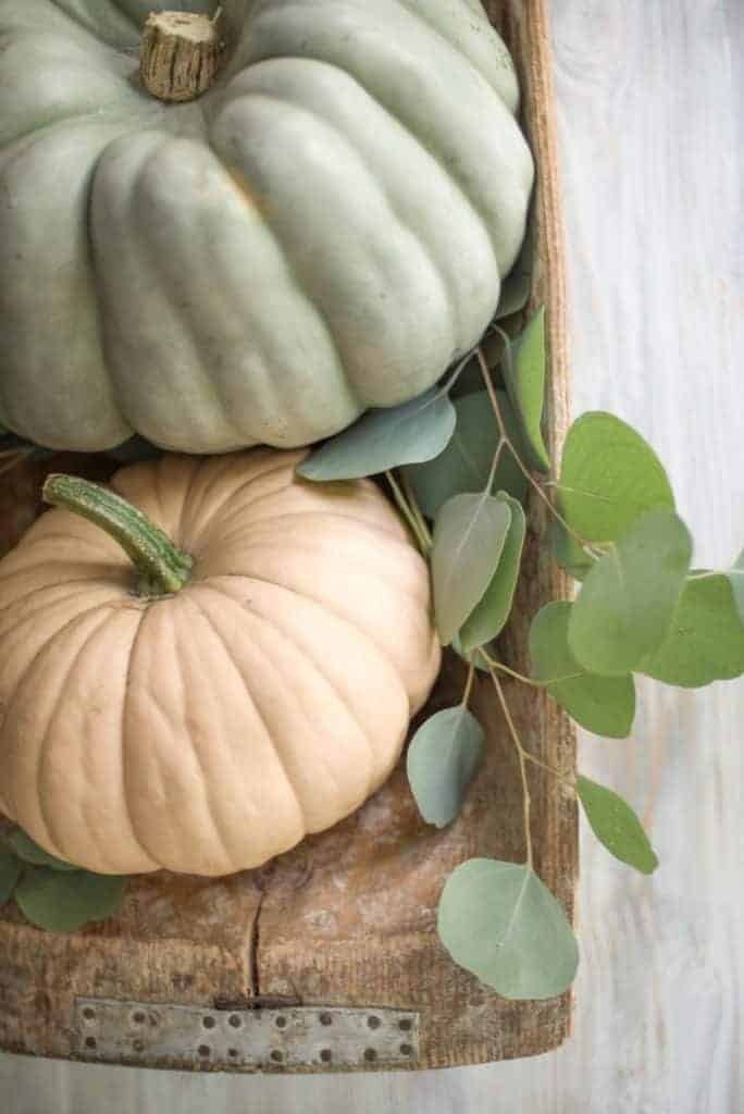 Simple Fall Decorating Ideas | This autumn home tour features easy and attainable decorating ideas for bringing simple fall touches into your home.