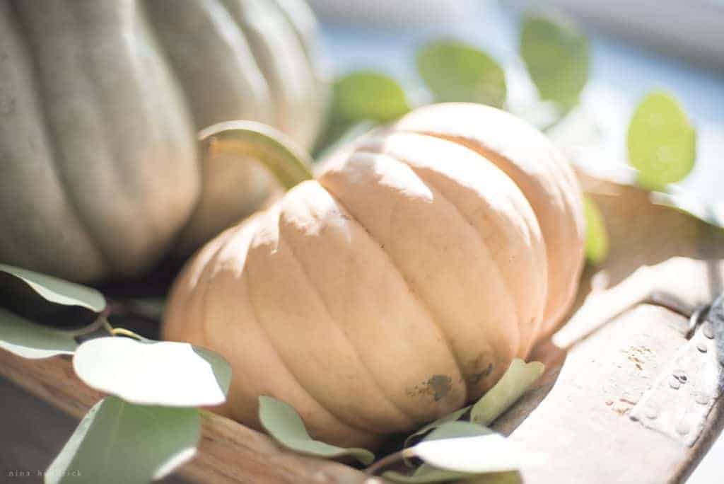 Simple Fall Decorating Ideas | This autumn home tour features easy and attainable decorating ideas for bringing simple fall touches into your home.