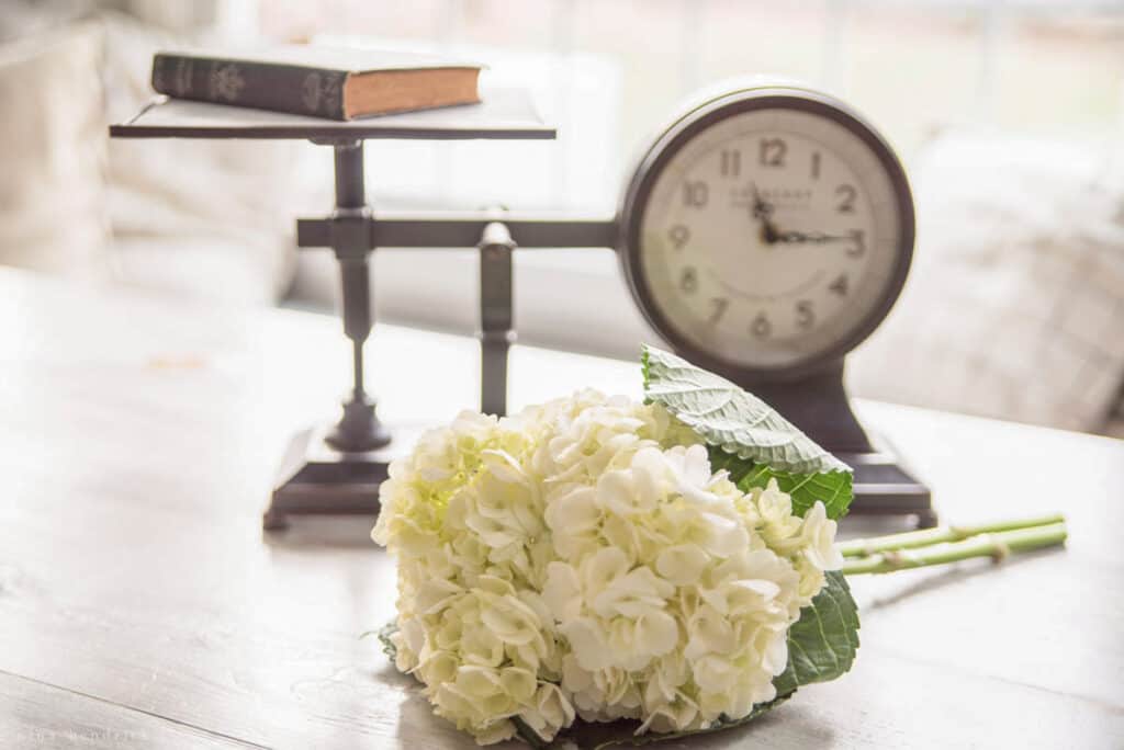 Scale clock and flower on a table