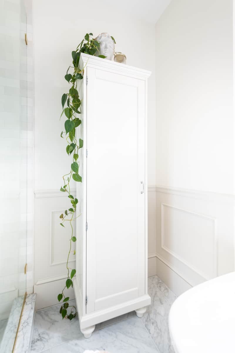 Bathroom storage cabinet with a trailing plant on top