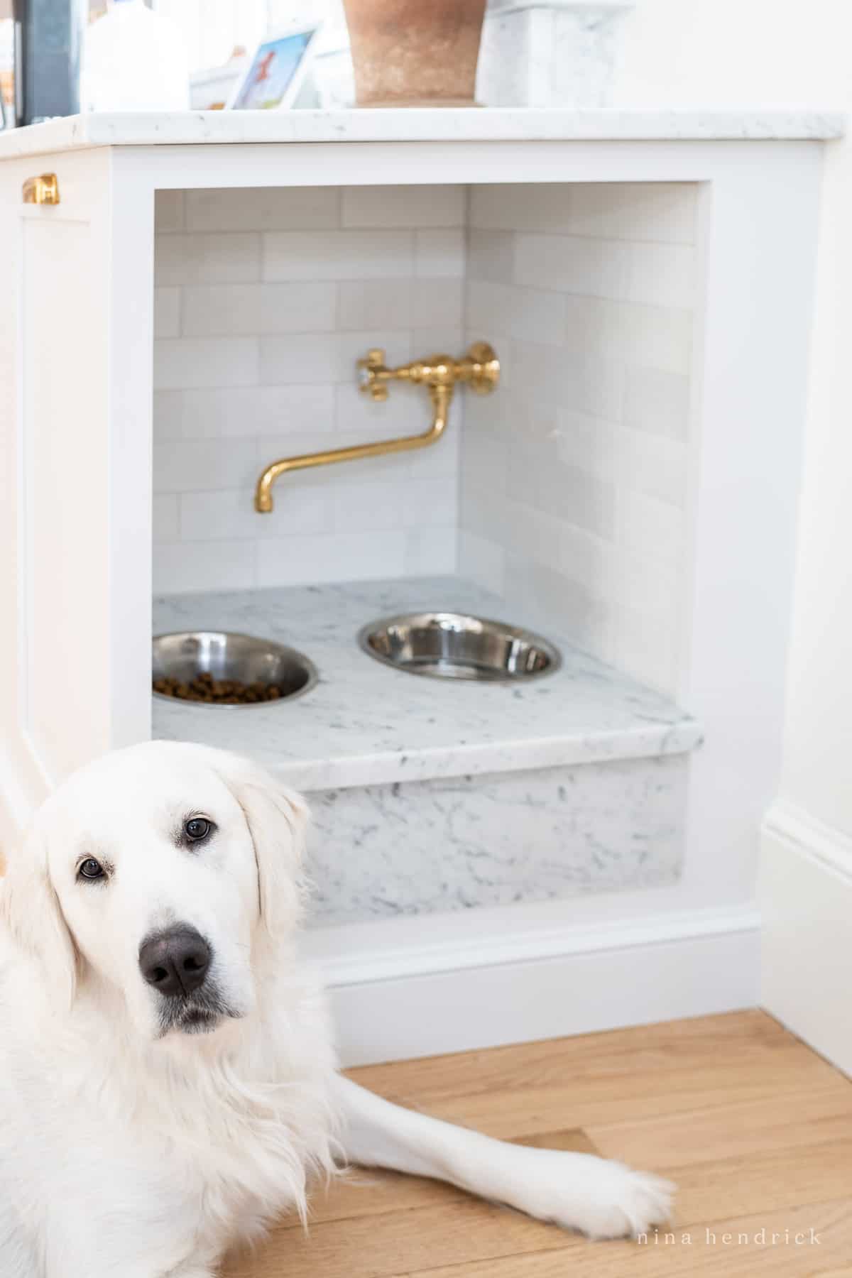 Built-in dog food and water station with a golden retriever.