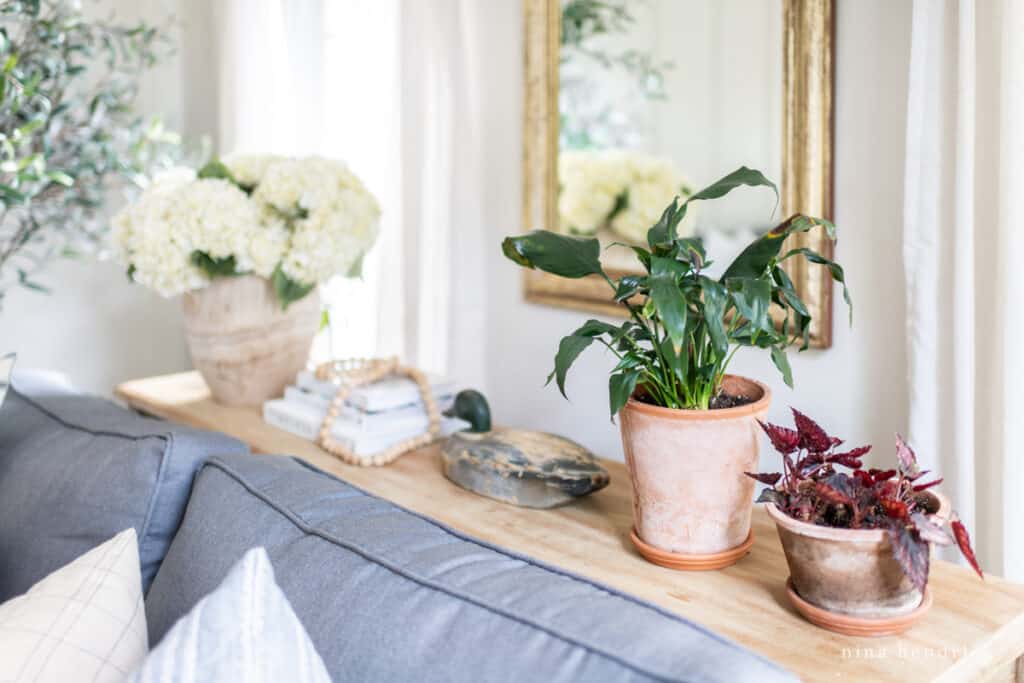 House plants on a sofa table with other decor items