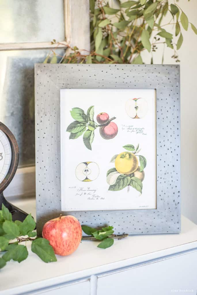 Free Printable Vintage Apple Study Print