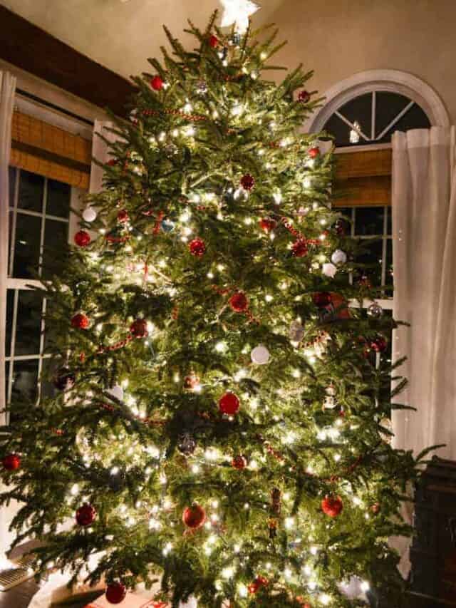 A large christmas tree in a living room.