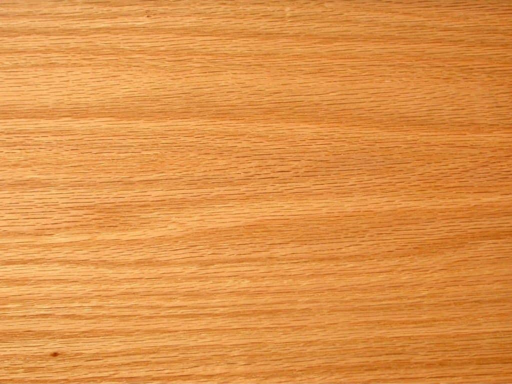 Oak wood grain close up